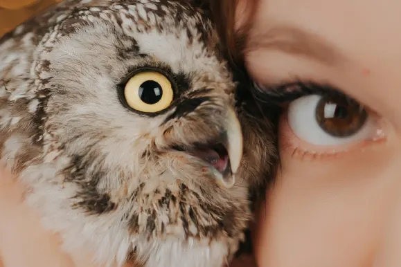 Kasyno Fever Bingo Wsparcie